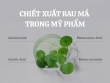Chiết xuất rau má trong mỹ phẩm có tác dụng gì? Bí quyết chăm sóc da được nhiều người yêu thích
