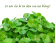 Có nên cho bé ăn dặm rau má không? Có nên cho bé ăn dặm rau má không?