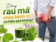 Dùng rau má chữa bệnh trĩ có hiệu quả không?
