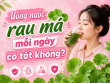 Giải đáp thắc mắc: Uống nước rau má mỗi ngày có tốt không?