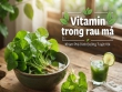 Giải mã vitamin trong rau má: Thành phần dinh dưỡng và lợi ích đối với sức khỏe