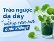 Người bị trào ngược dạ dày uống rau má được không?