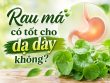 Rau má có tốt cho dạ dày không? Những lưu ý giúp sử dụng rau má an toàn