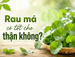 Rau má có tốt cho thận không? Lợi ích và lưu ý khi sử dụng