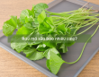 Rau má sữa bao nhiêu calo? Rau má sữa bao nhiêu calo?