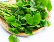 Tác dụng của rau má đối với làn da là gì? Tác dụng của rau má đối với làn da là gì?