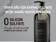 Top 6 dầu gội không Sulfate được nhiều người tin dùng cho mái tóc chắc khỏe từ gốc