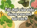 Tác hại của việc dùng rau má sai cách: 7 ảnh hưởng không nên xem nhẹ