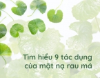 Tìm hiểu 9 tác dụng của mặt nạ rau má Tìm hiểu 9 tác dụng của mặt nạ rau má
