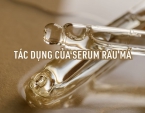 Tìm hiểu tác dụng của serum rau má. Serum rau má diếp cá Herbario có tốt không? Tìm hiểu tác dụng của serum rau má. Serum rau má diếp cá Herbario có tốt không?
