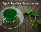 Top 5 công dụng của trà rau má không thể bỏ qua Top 5 công dụng của trà rau má không thể bỏ qua