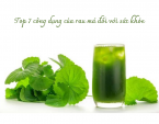 Top 7 công dụng của rau má đối với sức khỏe Top 7 công dụng của rau má đối với sức khỏe