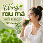Uống rau má buổi sáng có tốt không? Thời điểm uống đúng để phát huy lợi ích